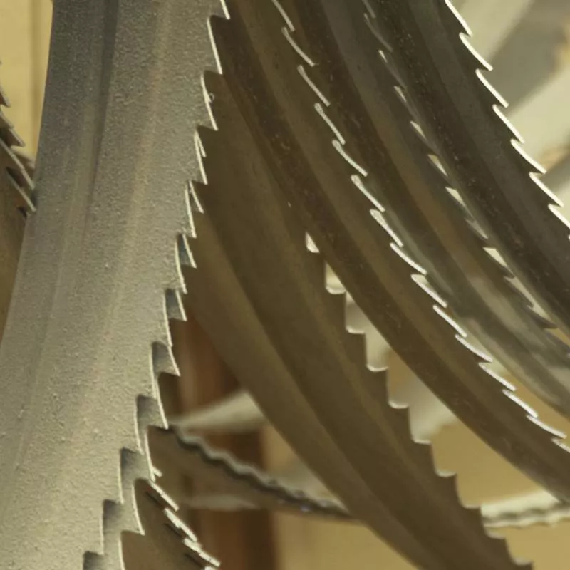 Lame Scie Ruban 14 Z/1" 1735x13x0.9 Mm FEMI 785XL - 3289925 1 Lame Scie Ruban 14 Z/1" 1735x13x0.9 Mm FEMI 785XL - 3289925